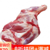 新疆木垒新鲜牛羊肉 前腿肉8斤2个腿 纯瘦肉 烤肉羊肉串 大尾巴绵